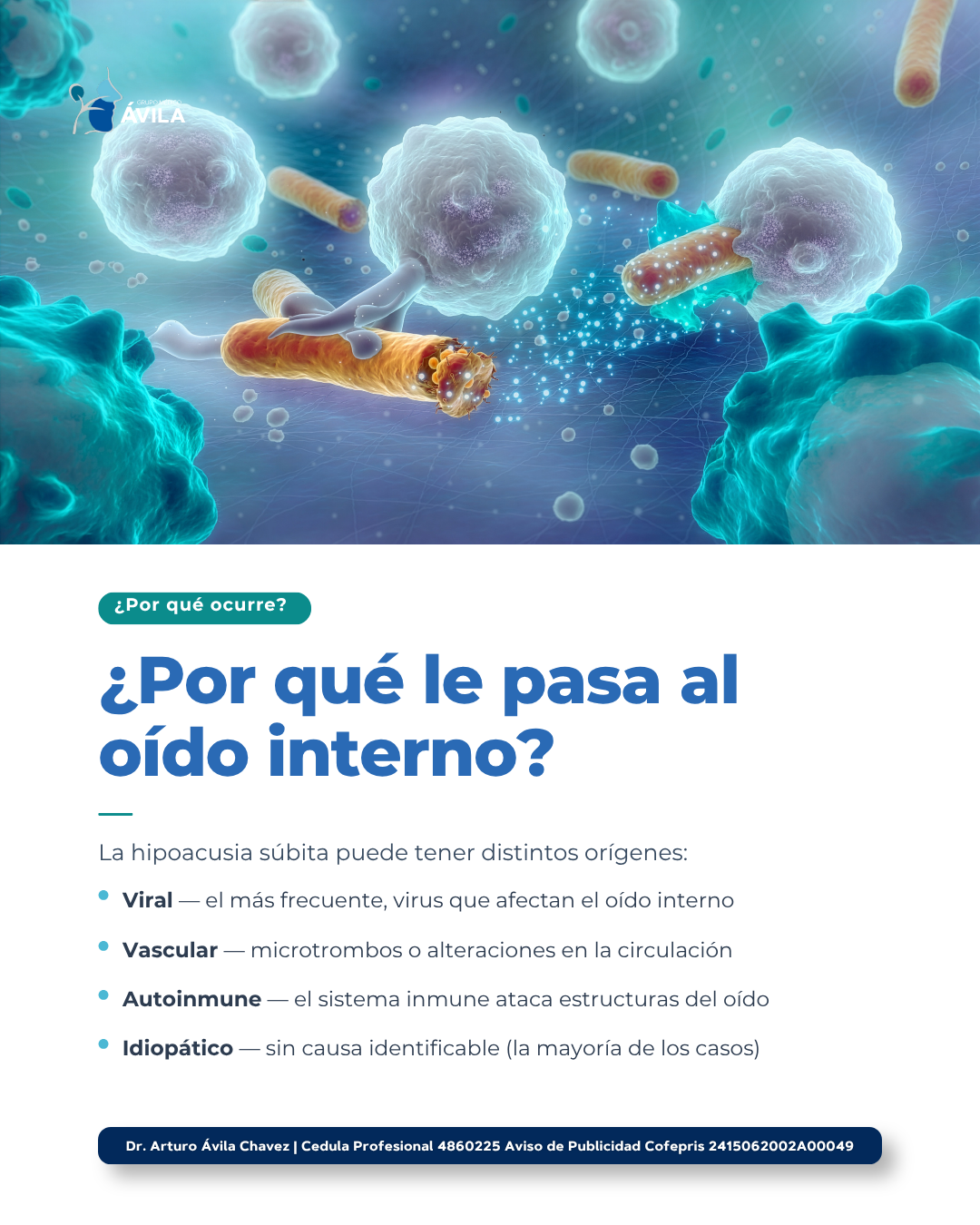 Ejemplo · Carrusel 4